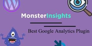 monsterinsights plugin