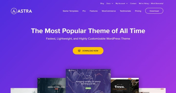astra wordpress themes