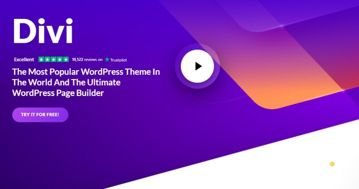 divi-wordpress-theme